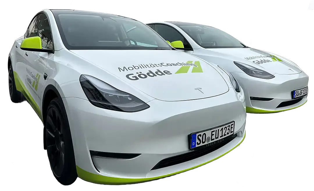 Tesla E-Fahrschulautos